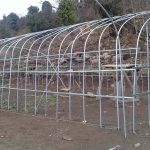 Construction of green house, Lamperi